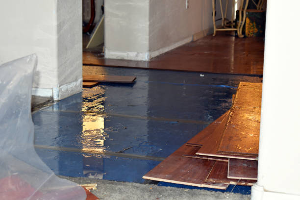Professional Basement Water Removal technician working in Long Beach, CA